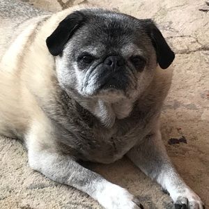 Meet your Posher, Leann